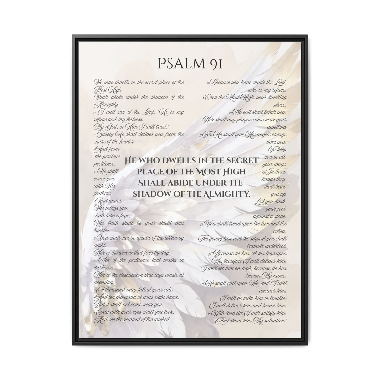 Psalm 91 Framed Canvas - 30X40 - He Who Dwells in the Secret Place Bible Verse Wall Art, Christian Protection Scripture Decor with Feathers