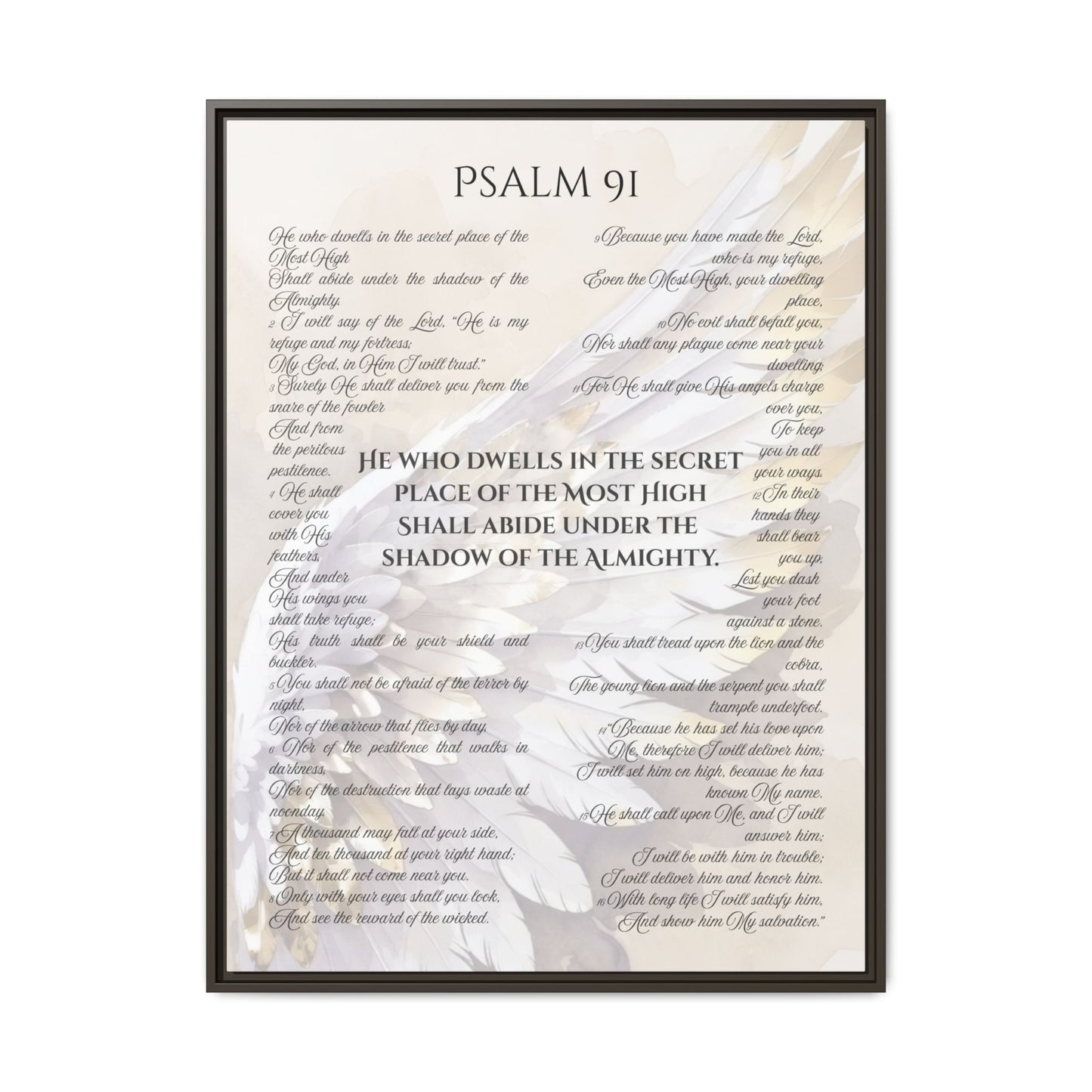 Psalm 91 Framed Canvas - 30X40 - He Who Dwells in the Secret Place Bible Verse Wall Art, Christian Protection Scripture Decor with Feathers